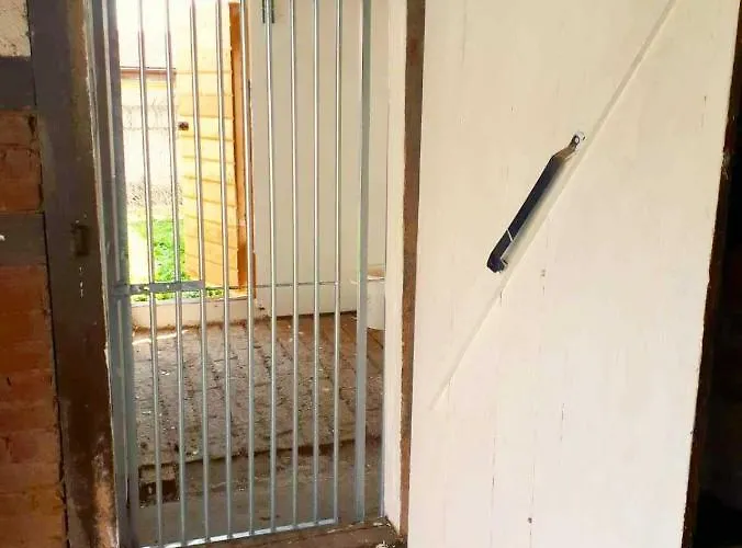 Rhoener Auszeit Daire *